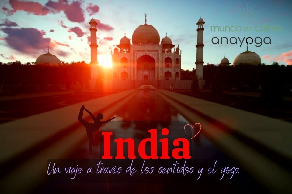 Aventura en la India, un viaje a través de los sentidos y el yoga.